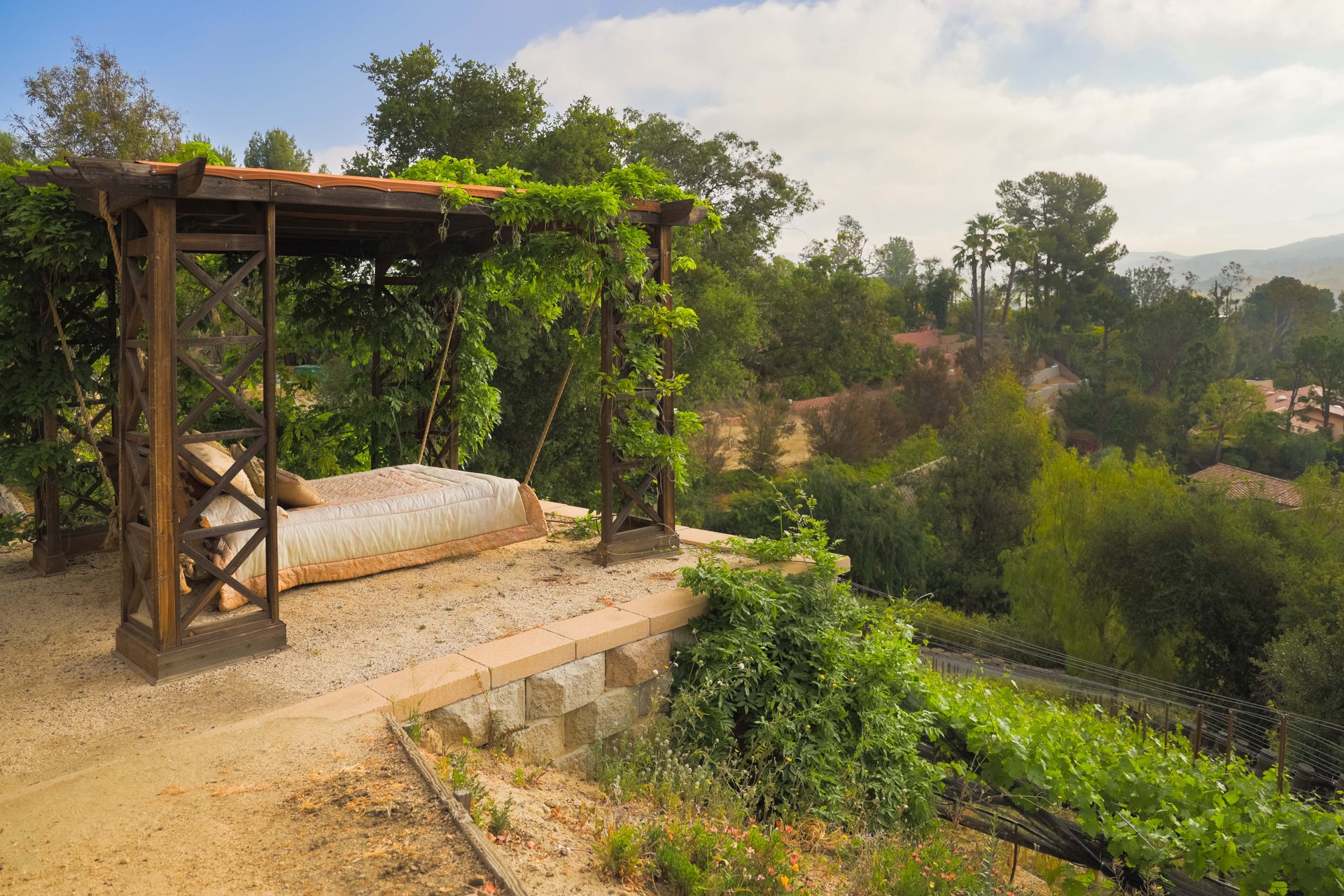 Patio with a vine-covered pergola and cushioned swing overlooking a leafy hillside.